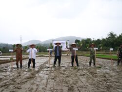 Bupati Aceh Selatan: Program Bajak Sawah Gratis Ringankan Beban Petani