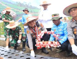 Dukung Swasembada Pangan, Kapolda Aceh Tanam Bawang Putih di Aceh Tengah