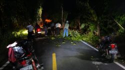 Pengendara Motor Terjatuh Akibat Dahan Pohon Patah Melintang Jalan di Kuta Timue Sabang