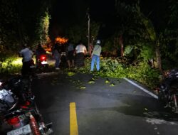 Pengendara Motor Terjatuh Akibat Dahan Pohon Patah Melintang Jalan di Kuta Timue Sabang