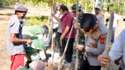 Optimalkan Lahan Kosong, Wali Kota Sabang Dorong Pengembangan Padi Gogo