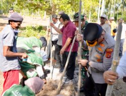 Optimalkan Lahan Kosong, Wali Kota Sabang Dorong Pengembangan Padi Gogo