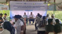 Dorong Produktivitas Cabai, Bank Indonesia Aceh Perkuat Klaster Petani di Aceh Barat