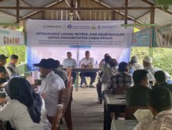 Dorong Produktivitas Cabai, Bank Indonesia Aceh Perkuat Klaster Petani di Aceh Barat