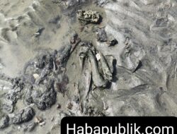 Penemuan Dugaan Tulang Belulang Manusia Viral di Medsos, Polsek Peukan Bada Telusuri Lokasi