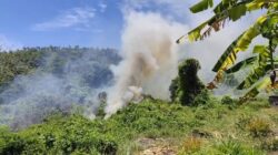 BPBD Sabang Imbau Warga Waspadai Kebakaran Lahan di Musim Kemarau