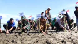 Bupati Sibral Dukung Aksi Tanam Mangrove Oleh Dandim 0102/Pidie di Pasi Aron