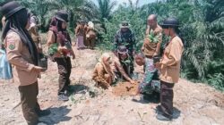 Kodim 0118/Subulussalam Bersama DLHK Lakukan Penghijauan di Kawasan Tahura Desa Jontor