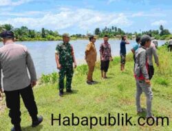 Libatkan Pawang Buaya, Forkopimcam Kluet Utara Lakukan Pengusiran Buaya yang Meresahkan Masyarakat