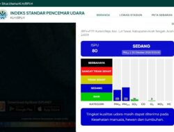 Indeks Standar Pencemar Udara Aceh Tengah Berada pada Kategori Sedang