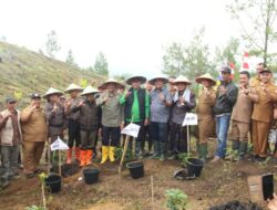 Bupati Gayo Lues Luncurkan GERETEK, Penanaman Kopi dan Jalan Inpres Diharapkan Dongkrak Ekonomi Rakyat